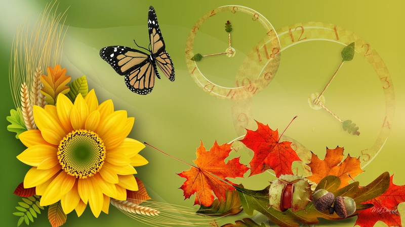 firefox persona, 1080P, butterfly, green, fall, sunflower, chestnuts, autumn, clocks, light, leaves, time