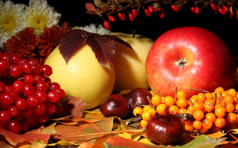 flowers, food And Drink, variation, indoors, chestnut, orange - Fruit, choice, table, fruit, apples, freshness, multi Colored, dieting, large group of objects