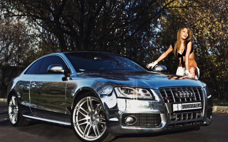 auto, autumn, foliage, audi, sedan, silver, cars, 1080P, girl, chrome, shiny