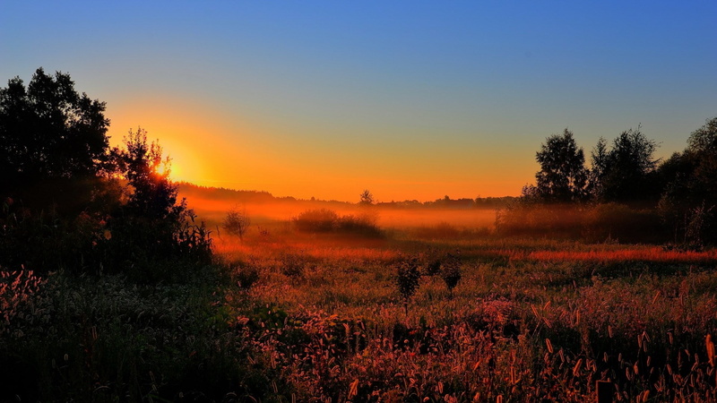 full h-d  of nature 1920x1080, growth, tree, tranquility, sky, sunset, landscape, tranquil scene, plant, land, environment, 1080P, scenics - nature, outdoors