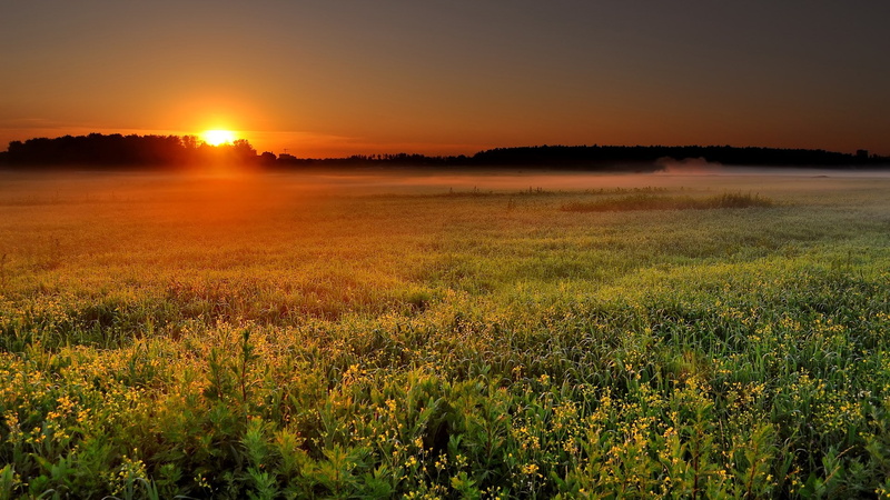 1080P, full h-d  of nature 1920x1080