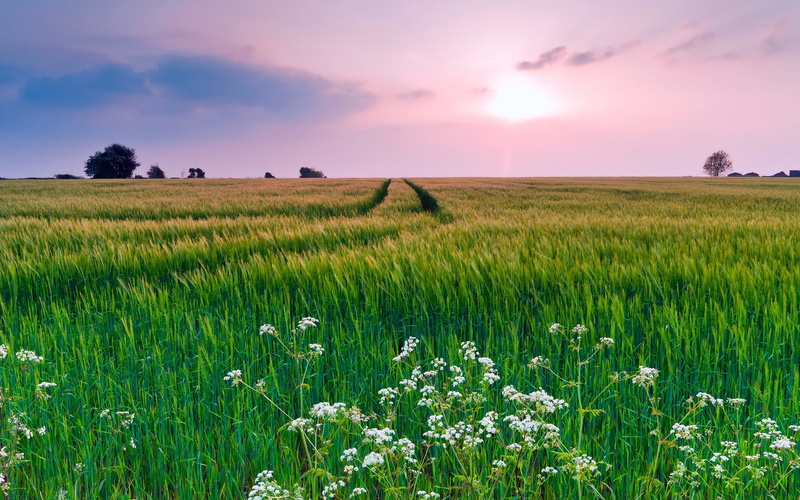 1080P, image background nature hd image 1920x1200