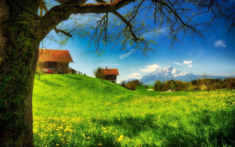 background nature image 1920x1200, 1080P