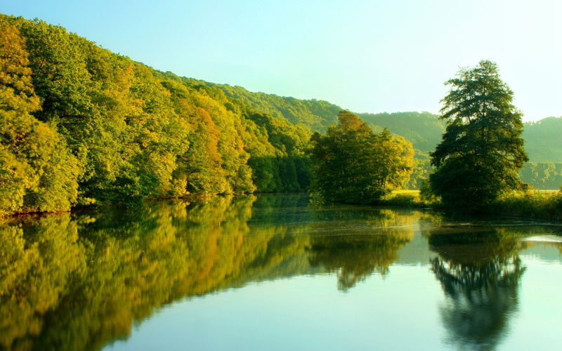 water, background image hd nature scene 1920x1200, tree, outdoors, reflection, plant, growth, sky, non-urban scene, lake, tranquil scene, clear sky, nature