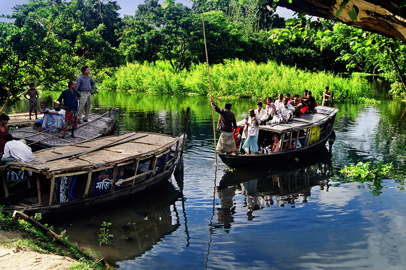 nature, lake, tree, 4K, water, plant, rowboat, transportation, travel, boat, group of people, crowd, bangladesh, reflection, men, women, forest, outdoors