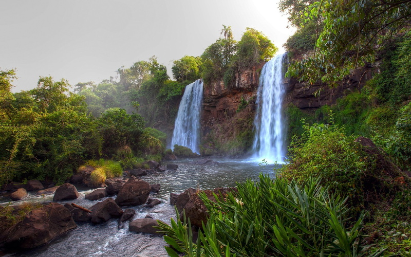 water, rainforest, tree, solid, beauty in nature, nature, scenics - nature, flowing water, waterfall, power in nature, forest, jungle, long exposure, flowing