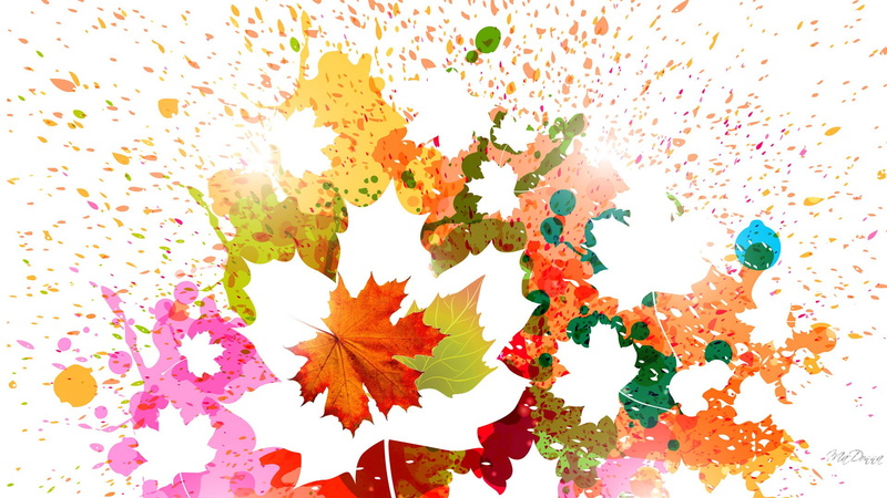 leaf, backgrounds, design, plant part, maple leaf, october, abstract, autumn, red, computer Graphic, no people, backdrop, plant, 1080P, color Image, silhouette