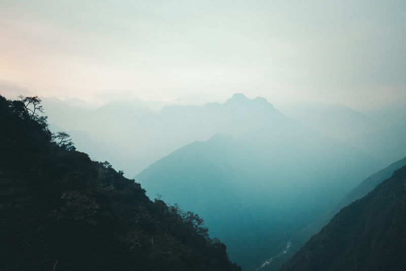 no people, non-urban scene, tranquility, the bush, idyllic, tranquil scene, 1080P, film, mountain, photography, nature, mountaint, filmmaking