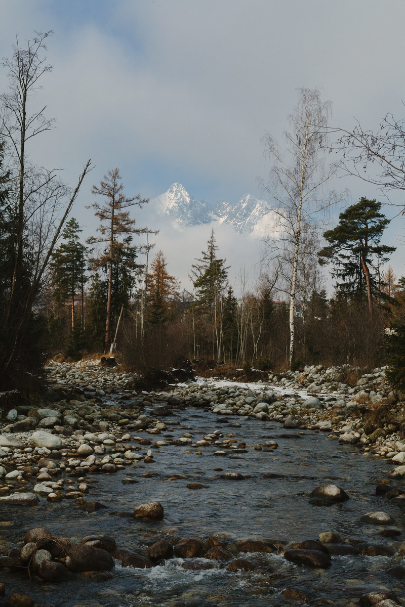 outdoors, tree, trees, tatra mountains, plant, non-urban scene, christmas, river, sky, growth, no people, solid, water, mountaints, winter, tranquil scene