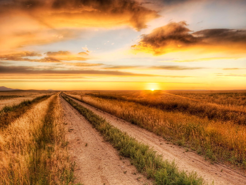 1080P, track, farm, dirt road, farm road, 3d and abstract, sundown, road at sundown, farm track, hdr