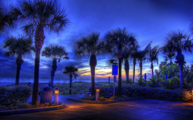 night, Lights, PALM TREES, beaches, art, hd, 720P, sunset, beach, nature