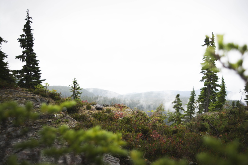 green, mountain, environment, beauty in nature, sky, outdoors, cloud, green color, daytime, 5K, tree, scenics - nature, coniferous tree, trees, tranquility