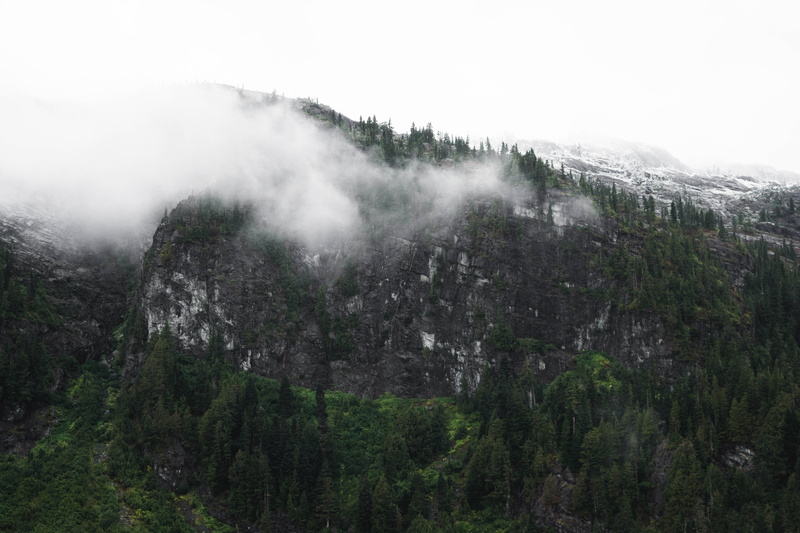 covering, scenics - nature, beauty in nature, trees, coniferous tree, land, explore, cliff, day, snow, plant, pine tree, no people, cloud, non-urban scene