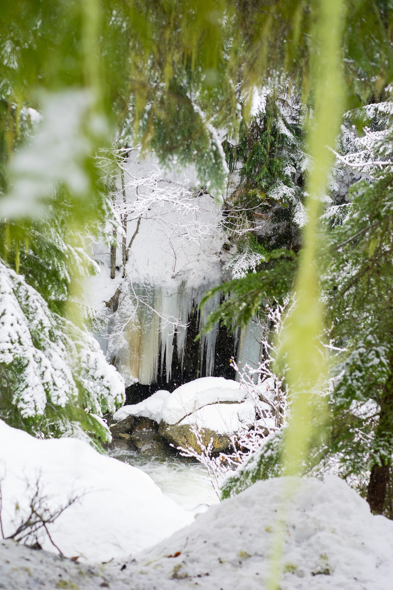 scenics, freshness, frost, river, winter, bokeh, non-Urban Scene, landscape, rainbow falls, season, branch, tree, outdoors, bc, ice, cold - Temperature