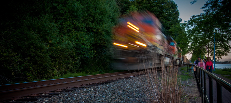 photography, camera, blurred motion, person, motion, bc, plant, incidental people, nature, tree, travelling, train - vehicle, travel, speed, outdoors, bcnf