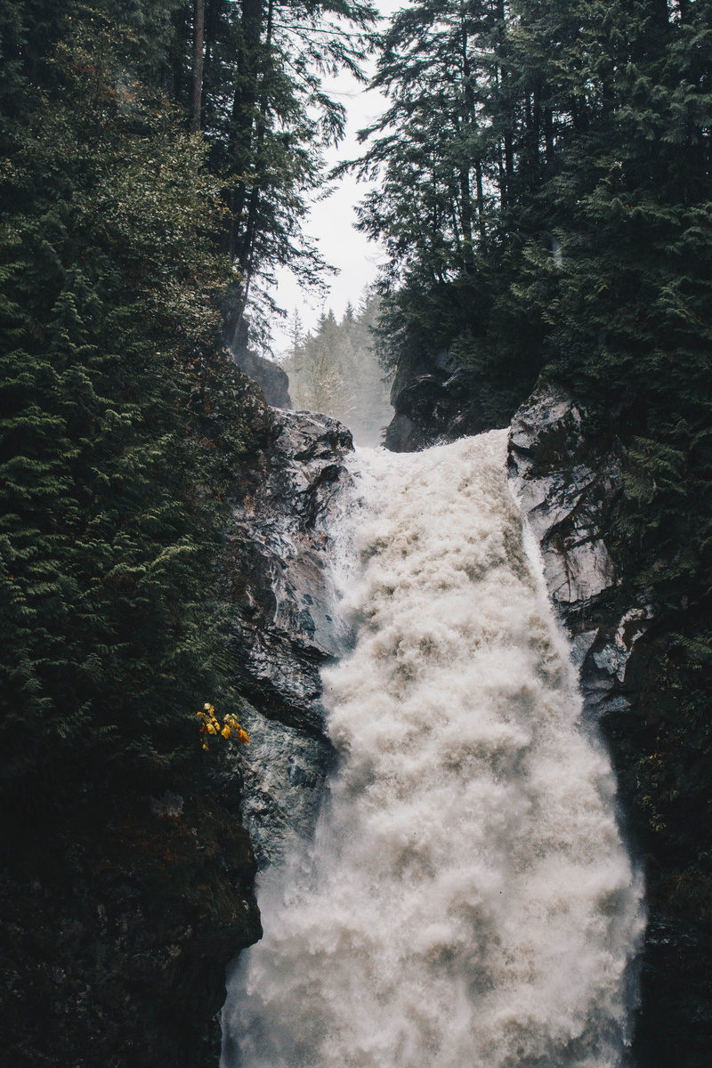 adventure, cascade falls, 5K, pnw, water, tree, awe, power in nature, bc, non-urban scene, rushing, green, power, trees, outdoor, explore, river, explorebc