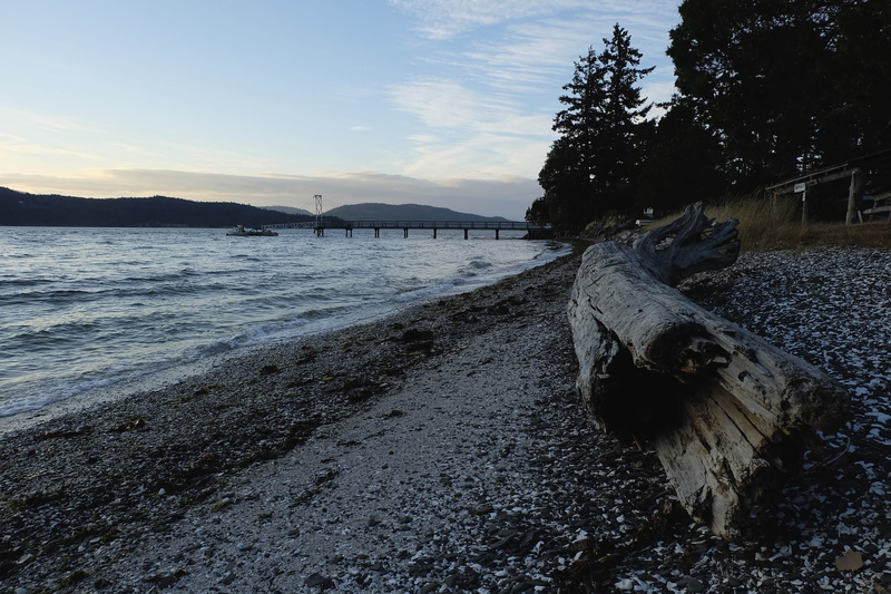 1080P, camping, beauty in nature, camp, sunset, sea, outdoors, tree, campground, tranquility, landscape, brown, non-urban scene, lake, water, plant, seaside