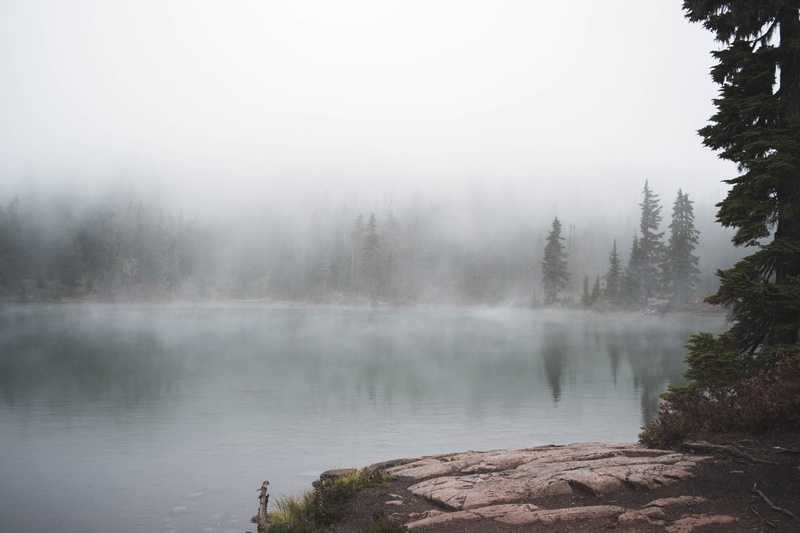 tree, outdoor, 5K, surrounded, mist, daytime, forest, hiking, cloud, water, non-urban scene, scenics - nature, beauty in nature, day, trees, outdoors