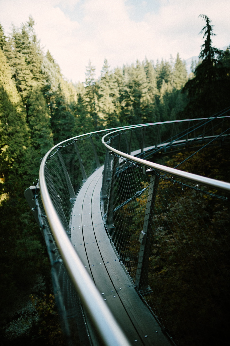 high angle view, tree, plant, trees, tranquil scene, walkway, no people, sky, bridge, sport, close, railing, absence, metal, non-urban scene, tranquility