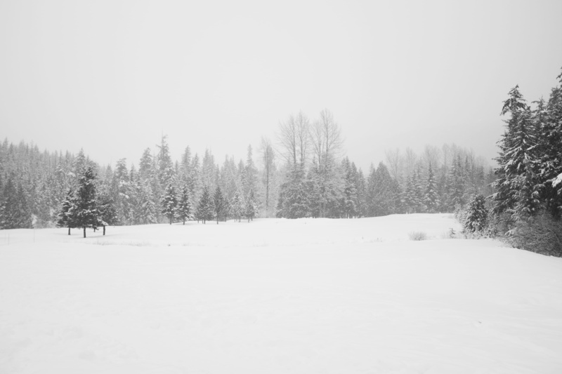 white color, non-urban scene, landscape, sky, tranquility, black and white, beauty in nature, bw, bc, snowing, whistler, canada, environment, tranquil scene