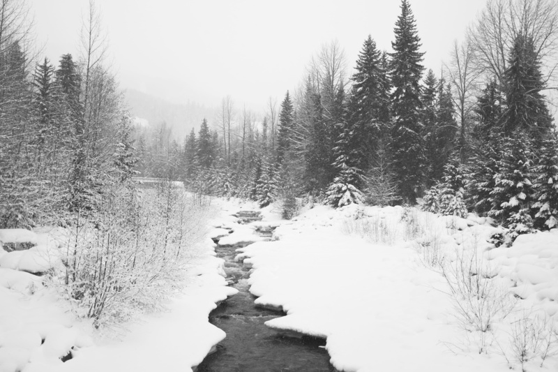 land, british columbium, tranquil scene, scenics - nature, covering, day, bc, snow, non-urban scene, 4K, ca, whistler, no people, river, tree, sky, cold temperature