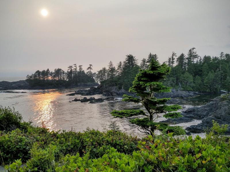 plant, tranquil scene, sky, tree, beauty in nature, uclulet, nature, british columbia, river, no people, water, power in nature, idyllic, land, outdoors