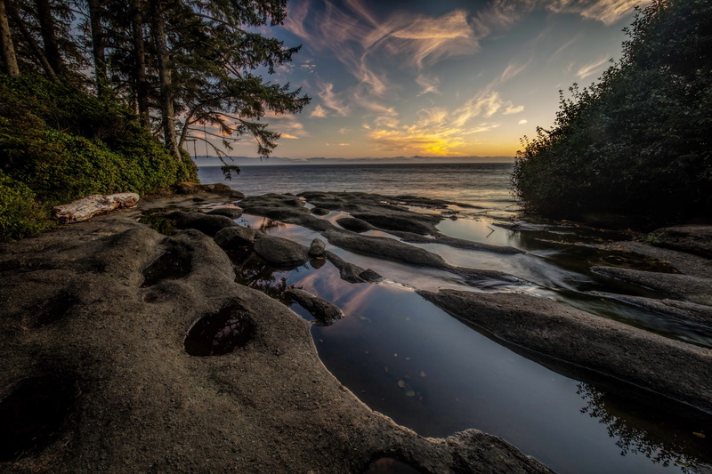 coast, Vancouver Island, National Parks, Canada, morning, trees, 4K, Bay, fog