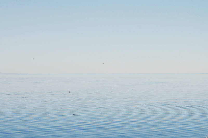 vancouver island, scenics - nature, canada, blue, horizon over water, nature, no people, beauty in nature, copy space, idyllic, tranquility, ombré, bird