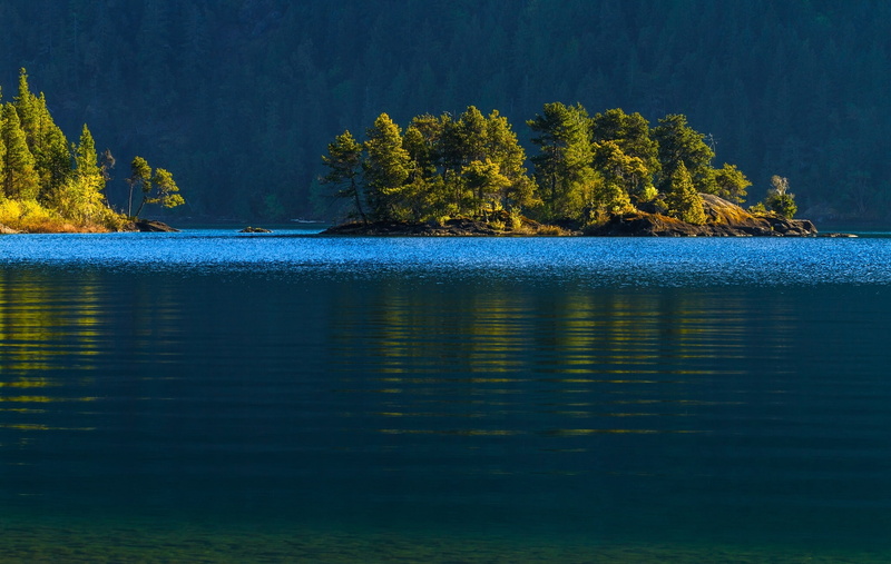 forest, Cowichan Lake, 1080P, tall, water, lake Cowichan, Canada, island, green, trees, Vancouver Island