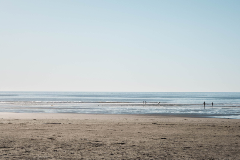 ocean, horizon, landscape, canada, tranquility, lake, nature, tofino, sea, scenics - nature, sand, sky, people, clear sky, long beach lodge resort, horizon over water