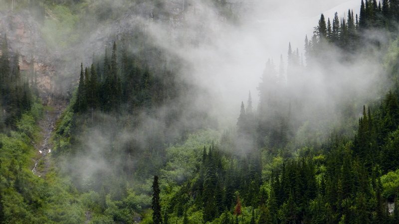 misty, environment, land, day, mountain, outside, background, travel destinations, cloud, no people, tranquil scene, growth, forest, landscape, outdoor