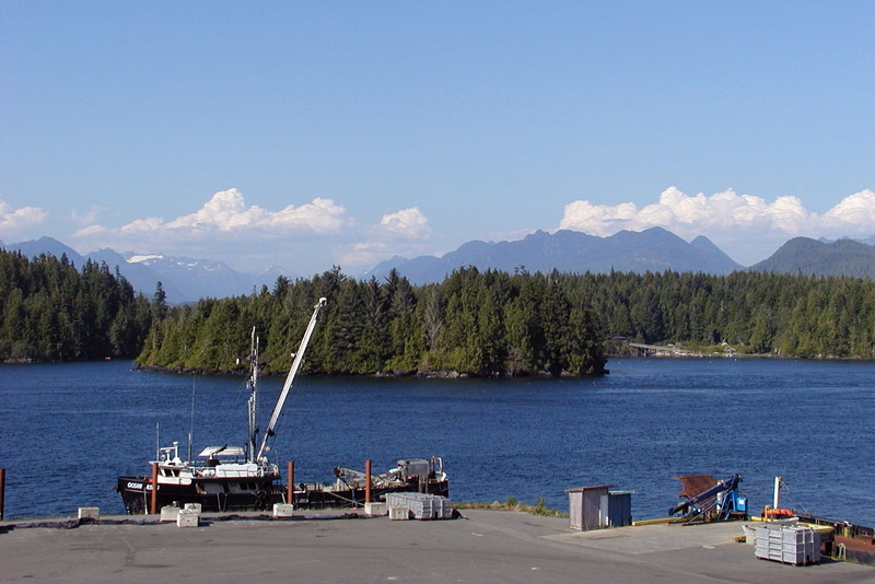 Tofino, beauty in nature, tree, sky, Fishing, pier, mode of transportation, landscape, mountain range, boats, cloud - sky, 720P, outdoors, coniferous tree