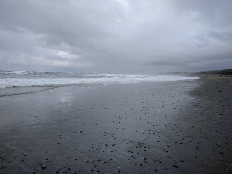 sandy beach, tranquility, beauty in nature, pacific northwest, coast, nature, wave, ocean, pacific ocean, cloud - sky, sea, day, water, 4K, horizon, open ocean