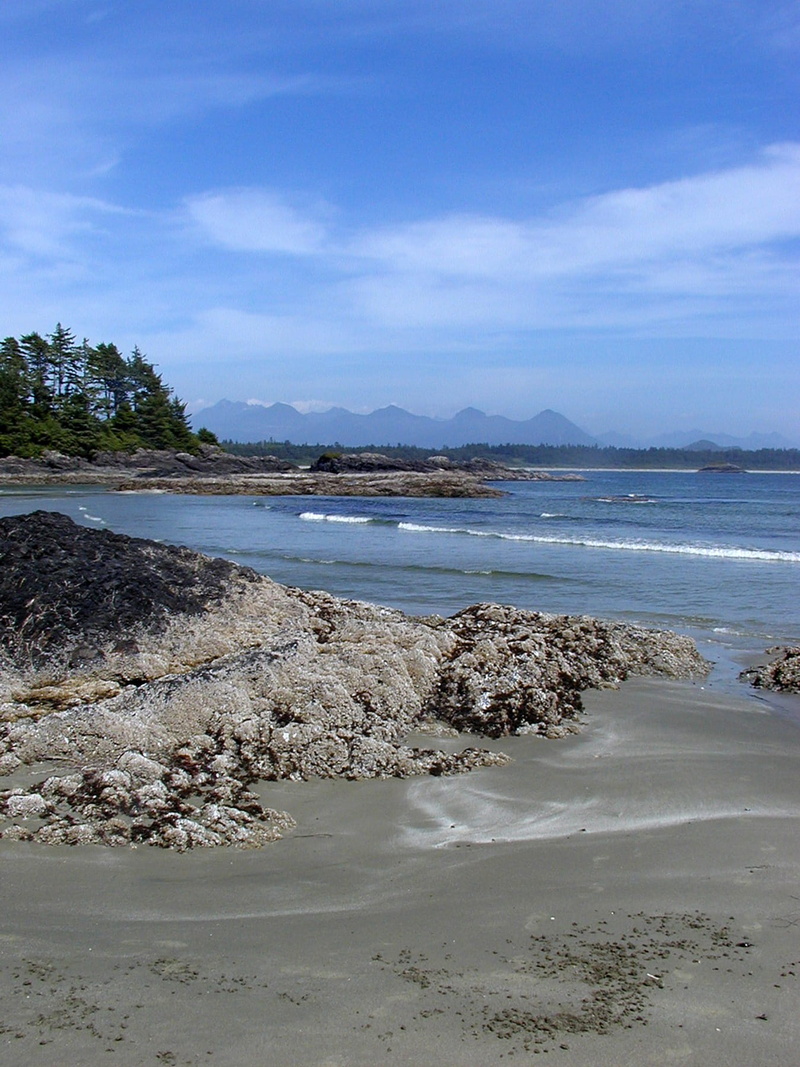 columbia, cloud - sky, ocean, rocks, pacific, scenics - nature, no people, idyllic, tranquility, nature, vancouver, coast, beach, mountain, canada, sand