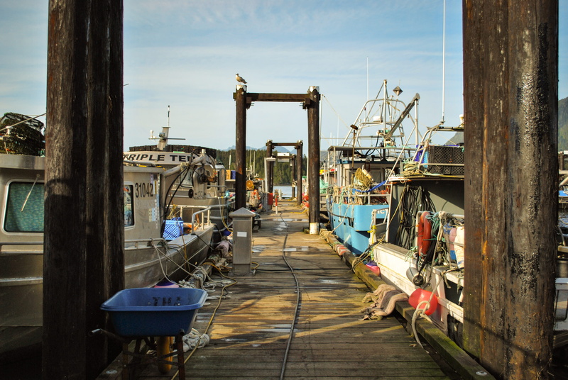 beside, boardwalk, person, trawler, outdoors, vehicle, sea, port, wood - material, pier, building, metal, built structure, architecture, building exterior