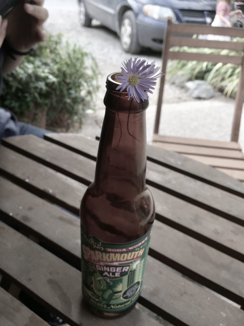 outdoors, human hand, 2K, ale, daisy, beer, party, tofino, drink, sunlight, purple, high angle view, human body part, focus on foreground, unrecognizable person