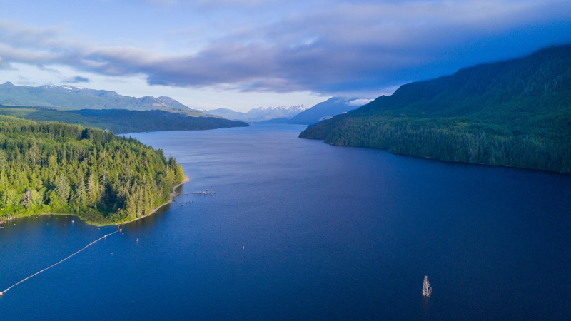 land, forest, northern vancouver island, water, outdoors, lake, no people, canada, single tree, tranquility, sky, mountain range, beauty in nature, drone