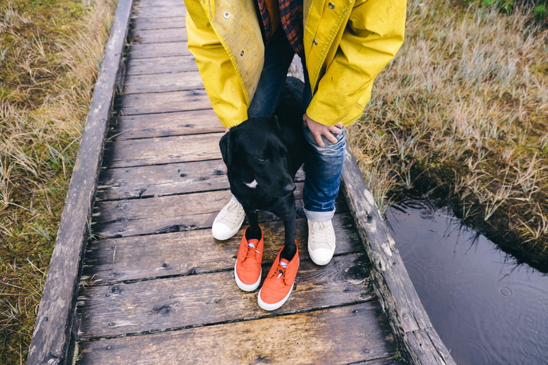 outdoors, domestic, pet owner, low section, human leg, explorebc, shoe, jeans, pets, lifestyles, day, rubber boot, vertebrate, 4K, one person, dog, leisure activity