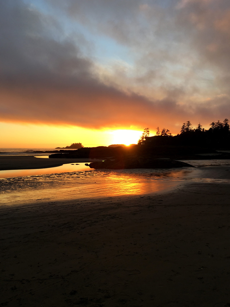 canada, sun, vancouver island, tranquil scene, scenics - nature, silhouette, tofino, no people, idyllic, water, beach, tranquility, nature, non-urban scene