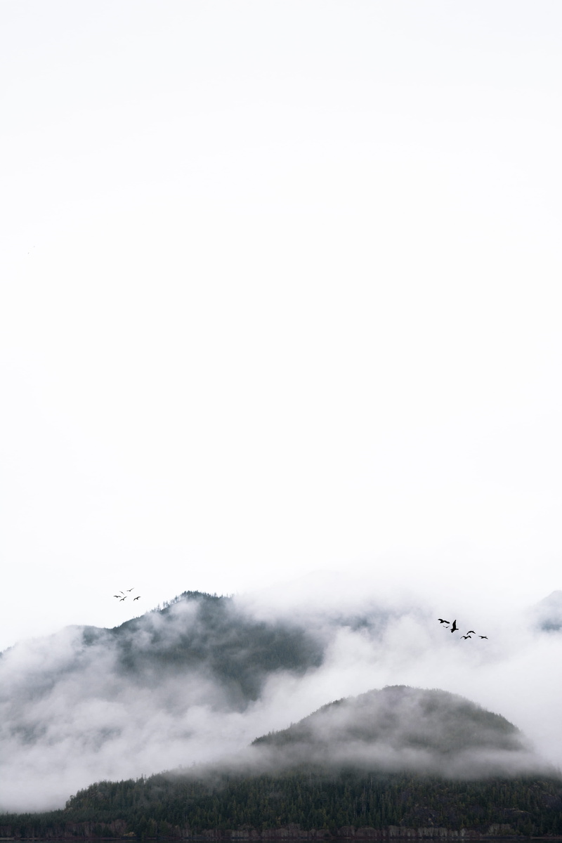 field, beauty in nature, fog, sky, daytime, no people, land, tofino, airliner, outdoors, non-urban scene, adventure, weather, cloud - sky, mist, landscape