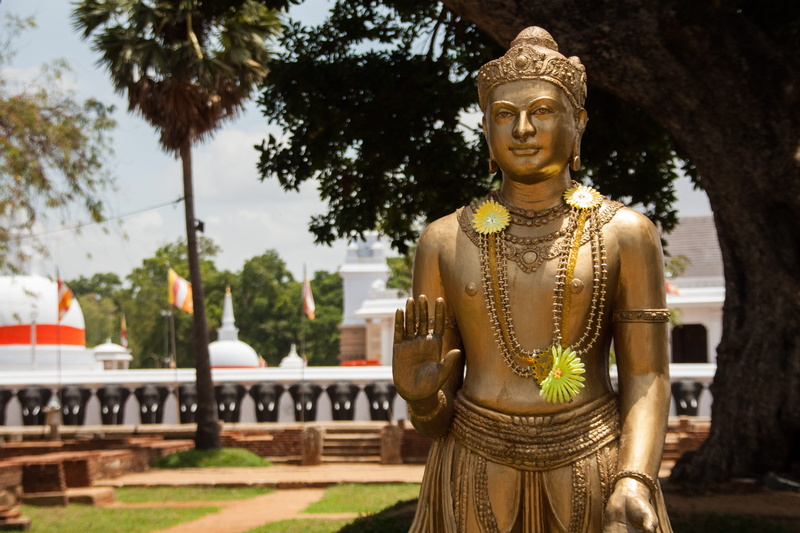 male likeness, sri lanka, nature, anuradhapura, tree, belief, place of worship, representation, spirituality, architecture, idol, religion, human representation