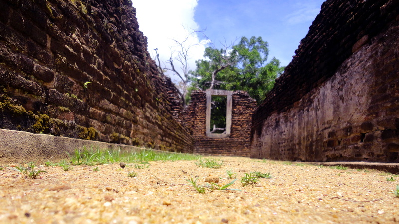 ancient, the past, tree, no people, wall, nature, ruined, old ruin, surface level, built structure, architecture, outdoors, plant, sky, stone wall, building exterior