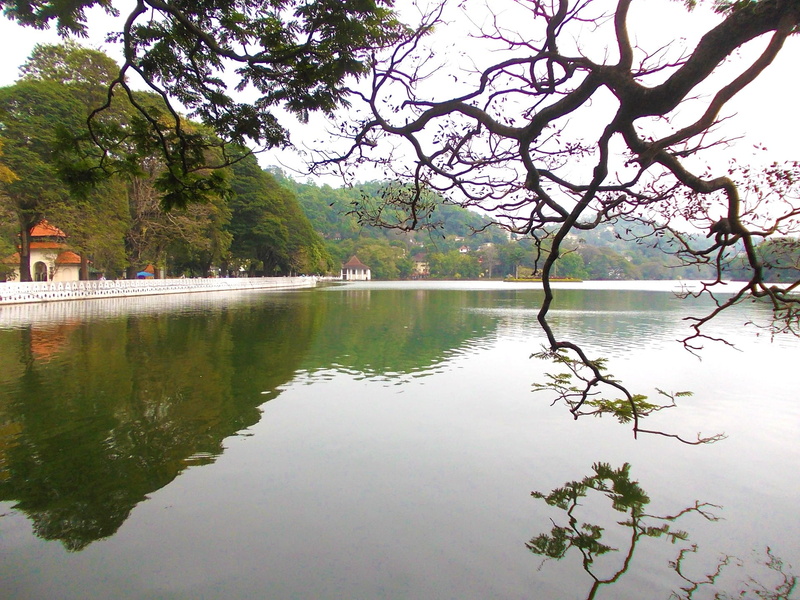 tranquil scene, sri lanka, kandy lake, waterfront, sky, nature, day, reflection, beauty in nature, tranquility, ceylon, water, outdoors, plant, scenics - nature