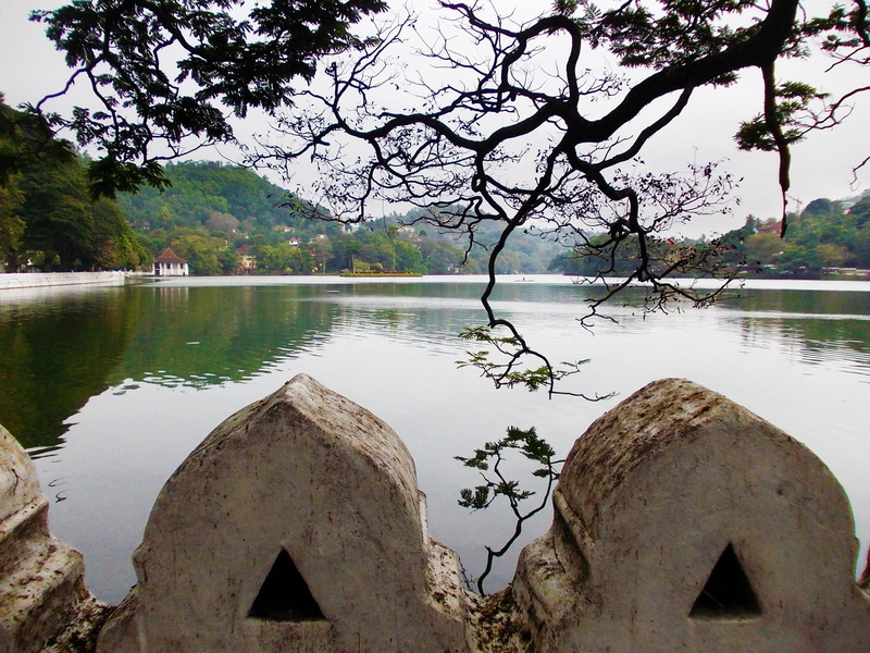 water, branch, Kandy Lake, outdoors, non-urban scene, beauty in nature, plant, scenics - nature, ceylon, tranquil scene, 1080P, architecture, nature, growth