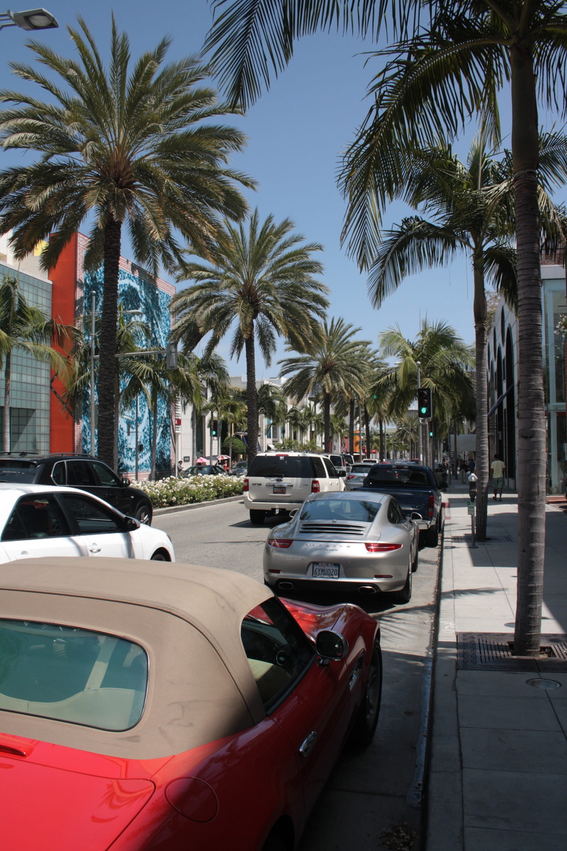 building exterior, city, Beverly Hills, tropical climate, street, architecture, day, plant, treelined, California, built structure, Rodeo Drive, palm tree
