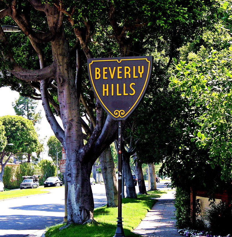 capital letter, street, day, park, 2K, growth, direction, city, sign, communication, beverly hills, nature, information sign, outdoors, sunlight, plant