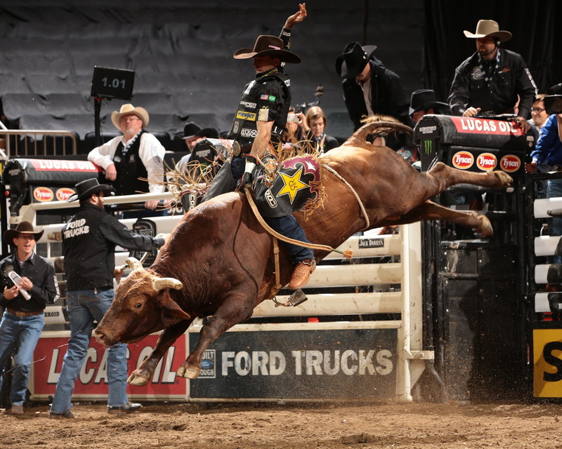 cowboy, 720P, extreme, riding, western, cow, rodeo, bull, bullrider, 14 jpg