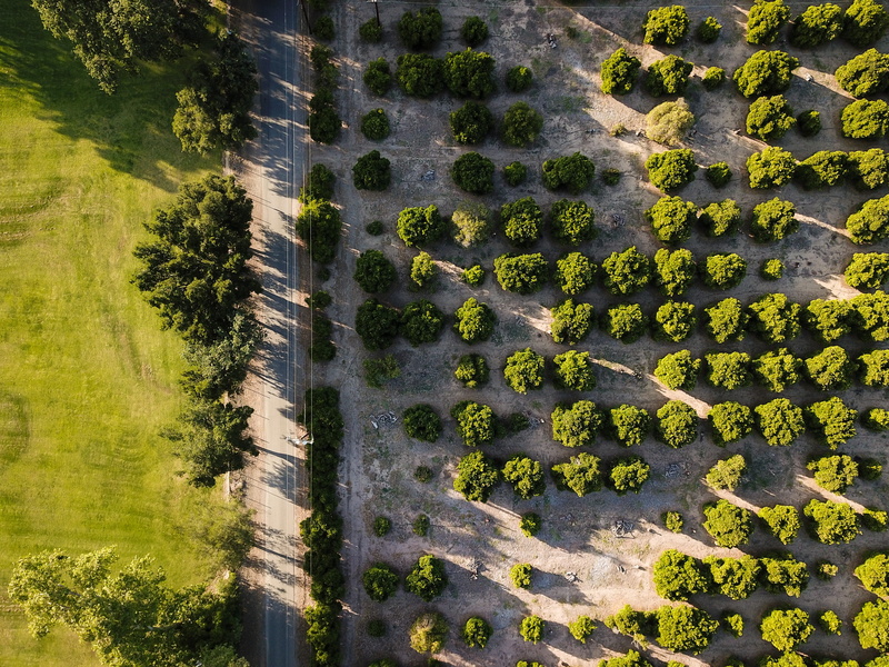land, tranquility, cali, drone, day, trees, ohaj, 4K, road, united states, valley, architecture, orchard, no people, tranquil scene, high angle view, beauty in nature