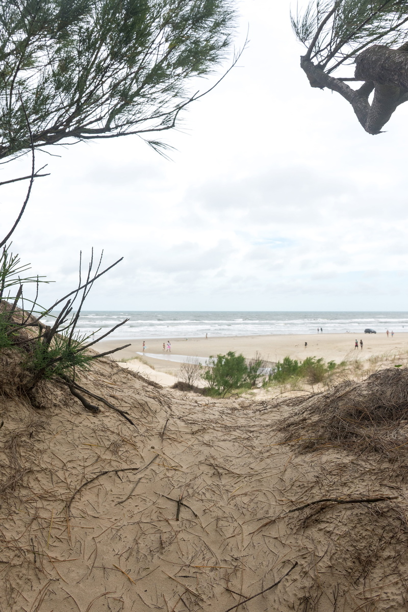 tranquil scene, wind, sea, beauty in nature, 5K, nikon, tranquility, non-urban scene, plant, sky, tree, sand, nature, land, cloud - sky, cali vibes, rio grande do sul