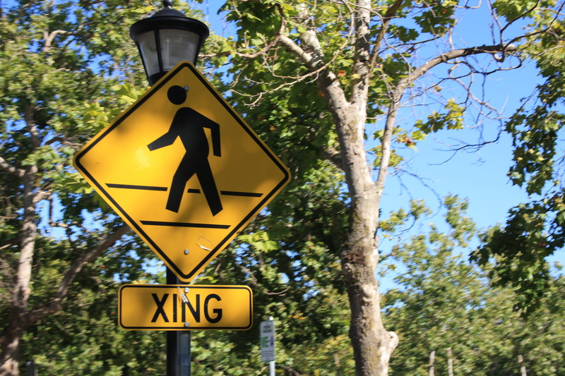 usa, safety, information sign, representation, stanford, yellow, low angle view, tree, california, no people, directional sign, 4K, human representation